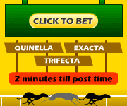 Click here to bet on your favorite greyhound