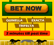 Click here to bet on your favorite greyhound