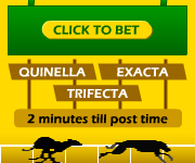 Greyhound Racing